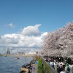 発見！すみだの魅力あれこれ